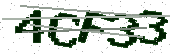 Verification characters